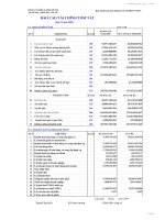 Báo cáo tài chính tóm tắt quý 2 năm 2009 - Công ty Cổ phần Xi măng Sài Sơn