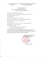 Báo cáo tài chính hợp nhất quý 4 năm 2015 - Công ty Cổ phần Tập đoàn Thiên Long