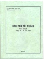 Báo cáo tài chính quý 2 năm 2007 - Công ty Cổ phần Kỹ Nghệ Lạnh