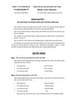 Nghị quyết đại hội cổ đông ngày 28-4-2010 - Công ty Cổ phần Địa ốc Sài Gòn Thương Tín