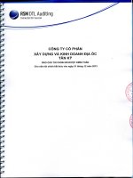 Báo cáo tài chính năm 2013 (đã kiểm toán) - Công ty Cổ phần Xây dựng và Kinh doanh Địa ốc Tân Kỷ