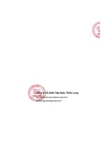 Báo cáo tài chính hợp nhất quý 2 năm 2011 - Công ty Cổ phần Tập đoàn Thiên Long