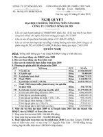 Nghị quyết đại hội cổ đông ngày 25-3-2010 - Công ty Cổ phần Sông Đà 505