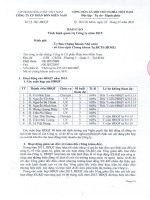 Báo cáo tình hình quản trị công ty - Công ty Cổ phần Phân bón Miền Nam