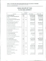 Báo cáo tài chính hợp nhất quý 3 năm 2011 - Công ty cổ phần Sản xuất Kinh doanh Xuất nhập khẩu Dịch vụ và Đầu tư Tân Bình