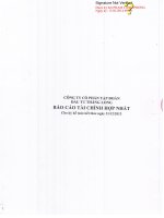 Báo cáo tài chính hợp nhất quý 4 năm 2013 - Công ty Cổ phần Tập đoàn Đầu tư Thăng Long