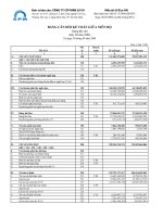 Báo cáo tài chính quý 3 năm 2008 - Công ty Cổ phần S.P.M