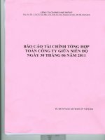 Báo cáo tài chính quý 2 năm 2011 - Công ty cổ phần Sợi Thế Kỷ