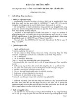 Báo cáo thường niên năm 2009 - Công ty Cổ phần Dịch vụ Vận tải Sài Gòn