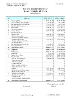 Báo cáo tài chính quý 1 năm 2009 - Công ty cổ phần Sách Giáo dục tại T.P Hồ Chí Minh