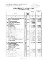 Báo cáo tài chính hợp nhất quý 2 năm 2010 - Công ty Cổ phần Giống cây trồng Miền Nam
