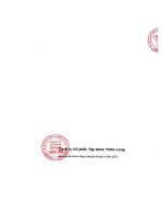 Báo cáo tài chính công ty mẹ quý 1 năm 2012 - Công ty Cổ phần Tập đoàn Thiên Long