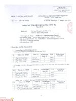 Báo cáo tình hình quản trị công ty - Công ty Cổ phần Giầy Sài Gòn