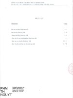 Báo cáo tài chính hợp nhất quý 1 năm 2016 - Công ty Cổ phần Tập đoàn Đầu tư Thăng Long