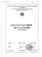 Báo cáo tài chính quý 3 năm 2009 - Công ty cổ phần Sản xuất Kinh doanh Xuất nhập khẩu Dịch vụ và Đầu tư Tân Bình