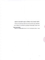 Báo cáo tài chính hợp nhất quý 2 năm 2012 (đã soát xét) - Công ty Cổ phần Tập đoàn Thái Hòa Việt Nam