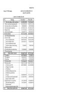 Báo cáo tài chính quý 3 năm 2008 - Công ty Cổ phần Xuất nhập khẩu Sa Giang