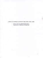 Báo cáo tài chính hợp nhất quý 1 năm 2013 - Công ty Cổ phần Tập đoàn Thái Hòa Việt Nam