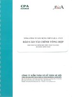 Báo cáo tài chính công ty mẹ năm 2013 - Tổng công ty Xây dựng Thủy lợi 4 - CTCP