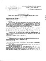 Báo cáo thường niên năm 2010 - Công ty Cổ phần Xây lắp Dầu khí Miền Trung