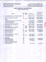 Báo cáo tài chính hợp nhất quý 2 năm 2011 - Công ty cổ phần Chứng khoán Sài Gòn