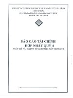 Báo cáo tài chính hợp nhất quý 4 năm 2014 - Công ty cổ phần Sản xuất Kinh doanh Xuất nhập khẩu Dịch vụ và Đầu tư Tân Bình