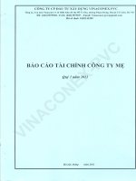 Báo cáo tài chính công ty mẹ quý 1 năm 2011 - Công ty Cổ phần Đầu tư Xây dựng Vinaconex - PVC