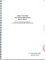 Báo cáo tài chính năm 2010 (đã kiểm toán) - Công ty Cổ phần Xây dựng và Kinh doanh Địa ốc Tân Kỷ