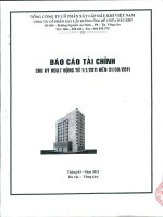 Báo cáo tài chính quý 1 năm 2011 - Công ty Cổ phần Xây lắp Đường ống Bể chứa Dầu khí