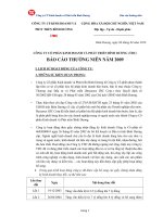 Báo cáo thường niên năm 2009 - Công ty Cổ phần Kinh doanh và Phát triển Bình Dương