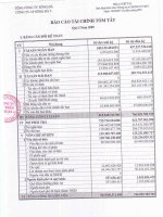 Báo cáo tài chính quý 1 năm 2009 - Công ty Cổ phần Sông Đà 5