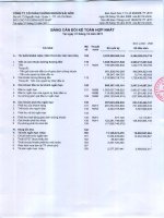 Báo cáo tài chính hợp nhất quý 4 năm 2011 - Công ty cổ phần Chứng khoán Sài Gòn