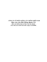 Báo cáo tài chính công ty mẹ năm 2009 (đã kiểm toán) - Công ty Cổ phần Giống cây trồng Miền Nam