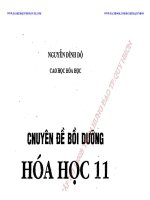Chuyên đề bồi dưỡng hóa học 11