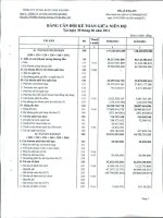 Báo cáo tài chính quý 2 năm 2011 - Công ty Cổ phần Nước giải khát Chương Dương