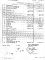 Báo cáo tài chính quý 2 năm 2008 - Công ty Cổ phần Tập đoàn Sara