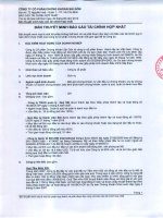 Báo cáo tài chính hợp nhất quý 2 năm 2012 - Công ty cổ phần Chứng khoán Sài Gòn