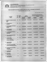 Báo cáo KQKD quý 3 năm 2010 - Công ty Cổ phần S.P.M