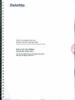 Báo cáo tài chính quý 2 năm 2013 (đã soát xét) - Công ty Cổ phần Xây lắp Đường ống Bể chứa Dầu khí