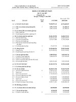 Báo cáo tài chính quý 4 năm 2009 - Công ty Cổ phần Đầu tư và Xây lắp Sông Đà