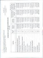 Báo cáo tài chính hợp nhất quý 1 năm 2013 - Công ty cổ phần Vận chuyển Sài Gòn Tourist