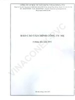 Báo cáo tài chính công ty mẹ quý 2 năm 2011 - Công ty Cổ phần Đầu tư Xây dựng Vinaconex - PVC