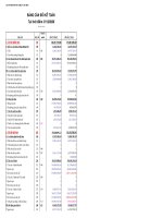 Báo cáo tài chính hợp nhất quý 1 năm 2010 - Công ty cổ phần Sản xuất Kinh doanh Xuất nhập khẩu Dịch vụ và Đầu tư Tân Bình