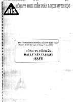 Báo cáo tài chính năm 2008 (đã kiểm toán) - Công ty Cổ phần Đại lý Vận tải SAFI