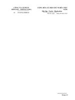 Nghị quyết đại hội cổ đông ngày 4-10-2010 - Công ty cổ phần Sông Đà - Thăng Long