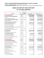 Báo cáo tài chính hợp nhất quý 4 năm 2010 - Công ty cổ phần Sản xuất Kinh doanh Xuất nhập khẩu Dịch vụ và Đầu tư Tân Bình