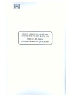 Báo cáo tài chính năm 2009 (đã kiểm toán) - CTCP Đầu tư Xây dựng và Phát triển Hạ tầng Viễn thông