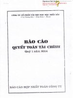 Báo cáo tài chính hợp nhất quý 1 năm 2014 - Công ty Cổ phần Vải sợi May mặc Miền Bắc