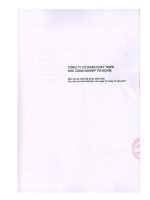 Báo cáo tài chính năm 2011 (đã kiểm toán) - Công ty cổ phần Phát triển Khu Công nghiệp Tín Nghĩa