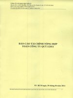 Báo cáo tài chính quý 1 năm 2011 - Công ty cổ phần Sợi Thế Kỷ
